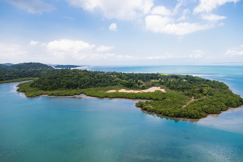 Ilha Bimbarras na Bahia