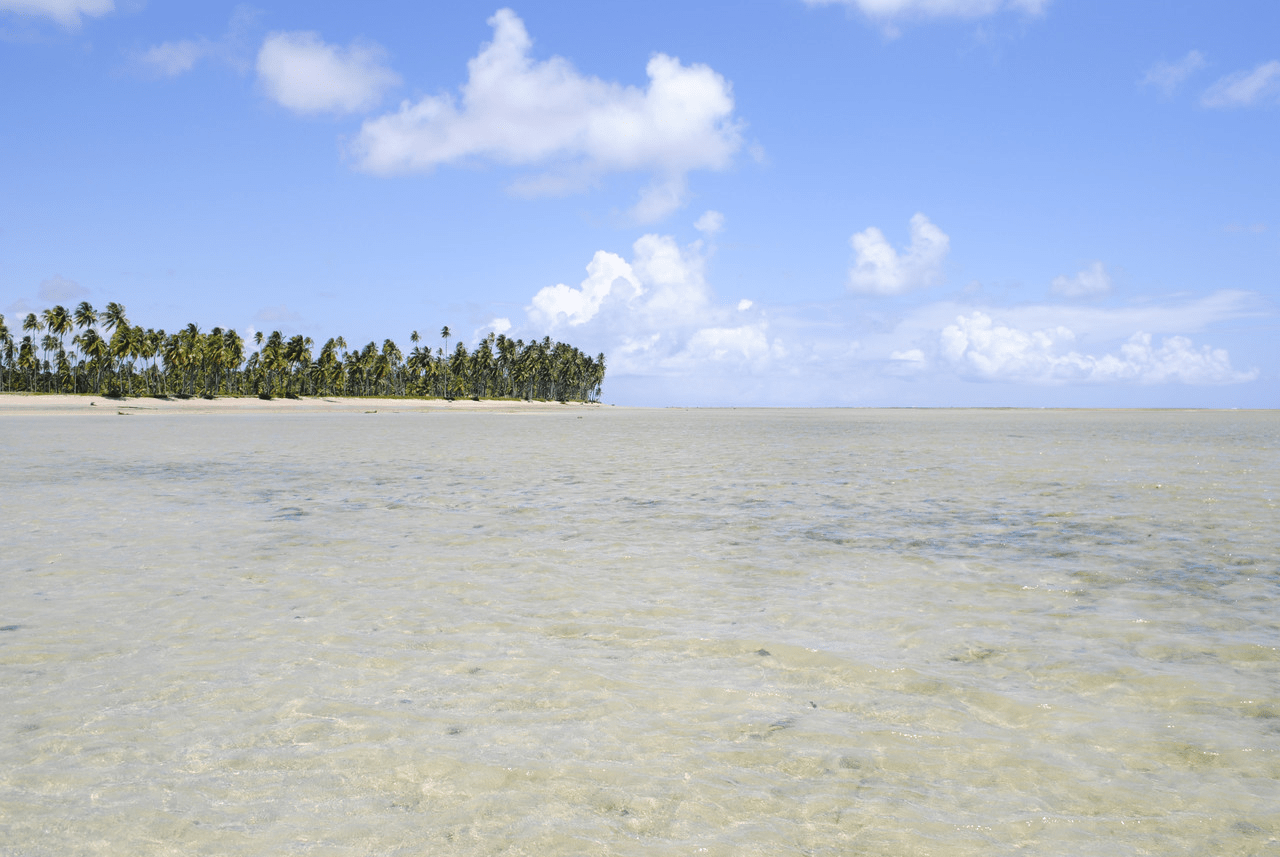 Praia do Patacho em Porto de Pedras - Alagoas