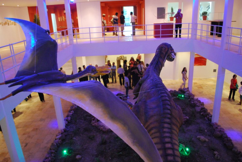 Museum für Paläontologie in Cariri
