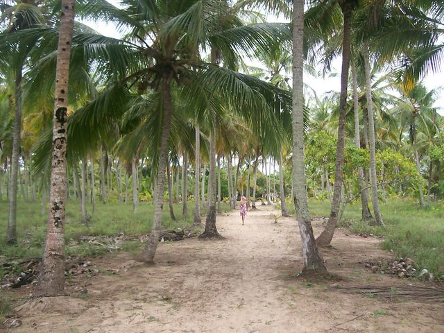 Ilha de Barra Velha em Nova Viçosa