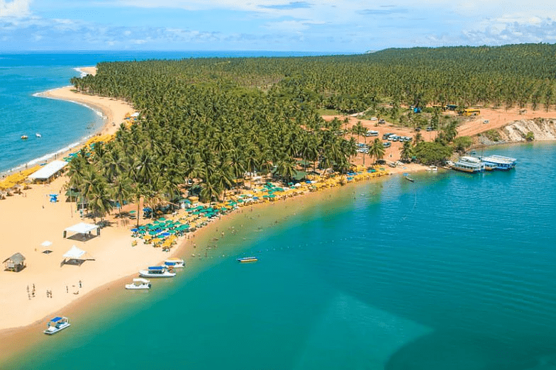 O que fazer na Praia do Gunga em Alagoas?